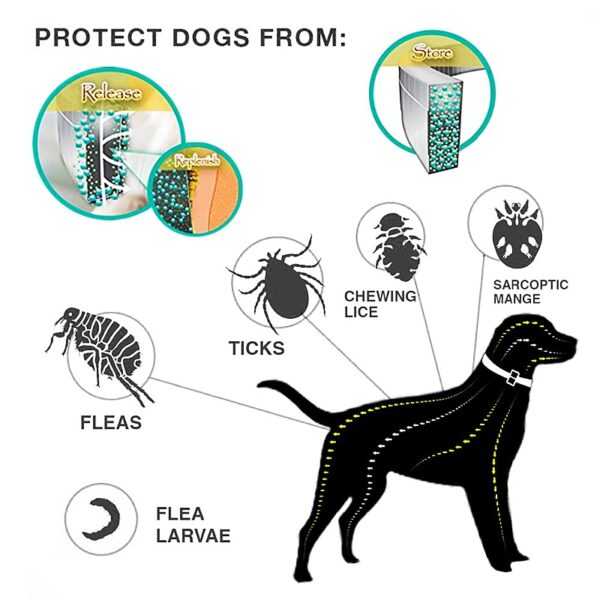 Dog Anti Flea And Tick Collars,Pet 8Month Protection Adjustable Collar For Large Dog Puppy Cat, Dogs Accessories - Image 4