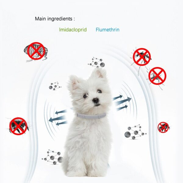 Dog Anti Flea And Ticks Cats Collar Pet 8Month Protection Retractable Pet Collars For Puppy Cat Large Dogs Accessories - Image 5