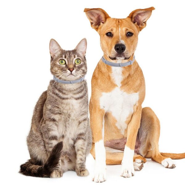 Dog Anti Flea Ticks Collar 8 Month Protection Retractable Pet Collars for Puppy Cat Large Dogs Prevention Mosquitoes Accessories - Image 2