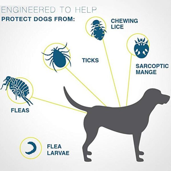 Dog Anti Flea Ticks Collar 8 Month Protection Retractable Pet Collars for Puppy Cat Large Dogs Prevention Mosquitoes Accessories - Image 3