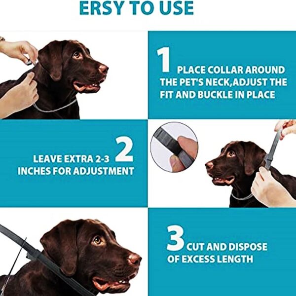 Dog Anti Flea Ticks Collar 8 Month Protection Retractable Pet Collars for Puppy Cat Large Dogs Prevention Mosquitoes Accessories - Image 6