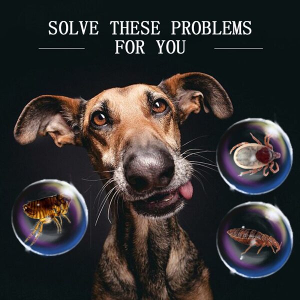 Dog Cat Collar Anti Flea Mosquito Tick Protective Collar for Small Dog Puppy 8 Months Long-term Repellent Insect Pet Supplies - Image 5