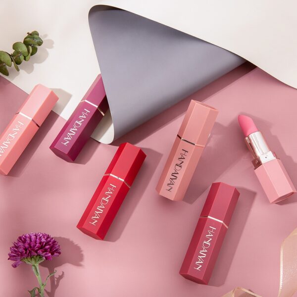 HANDAIYAN 6 Colors Matte Lipstick Beauty Lip Gloss LippenstiftTinted Balm 24 Hours Waterproof Free Shipping Makeup - Image 6