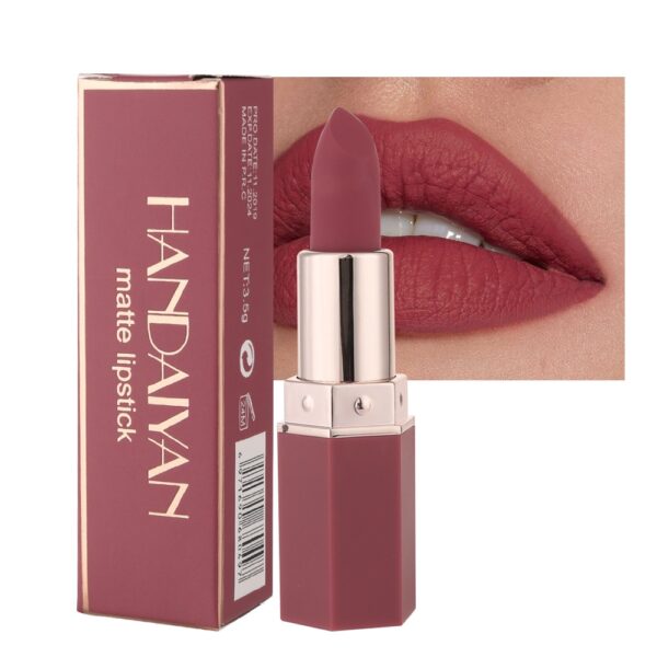 HANDAIYAN 6 Colors Matte Lipstick Beauty Lip Gloss LippenstiftTinted Balm 24 Hours Waterproof Free Shipping Makeup - Image 4