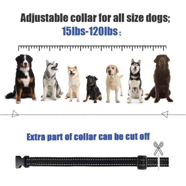 MASBRILL 800m Electric Dog Training Collar Light IP7 Waterproof Pet Remote Control With Shock Vibration Sound Function Collars - Image 6