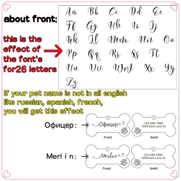 Personalized Pet Dog Tags Shiny Steel Free Engraving Kitten Puppy Anti-lost Collars Tag for Dog Cat Nameplate Pet Accessoires - Image 6