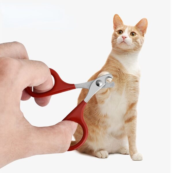 Professional Cat Nail Scissors Pet Dog Nail Clippers Toe Claw Trimmer Pet Grooming Supplies Products for Small Dogs Dog Gadgets - Image 2