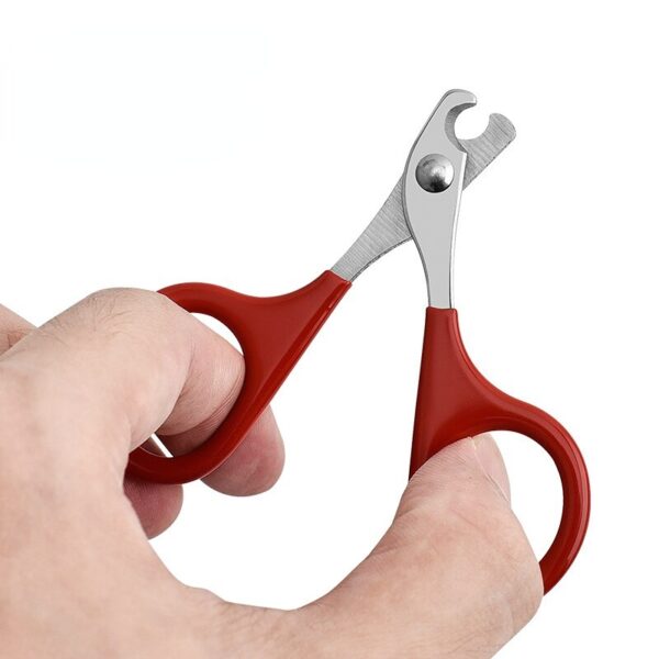 Professional Cat Nail Scissors Pet Dog Nail Clippers Toe Claw Trimmer Pet Grooming Supplies Products for Small Dogs Dog Gadgets - Image 4